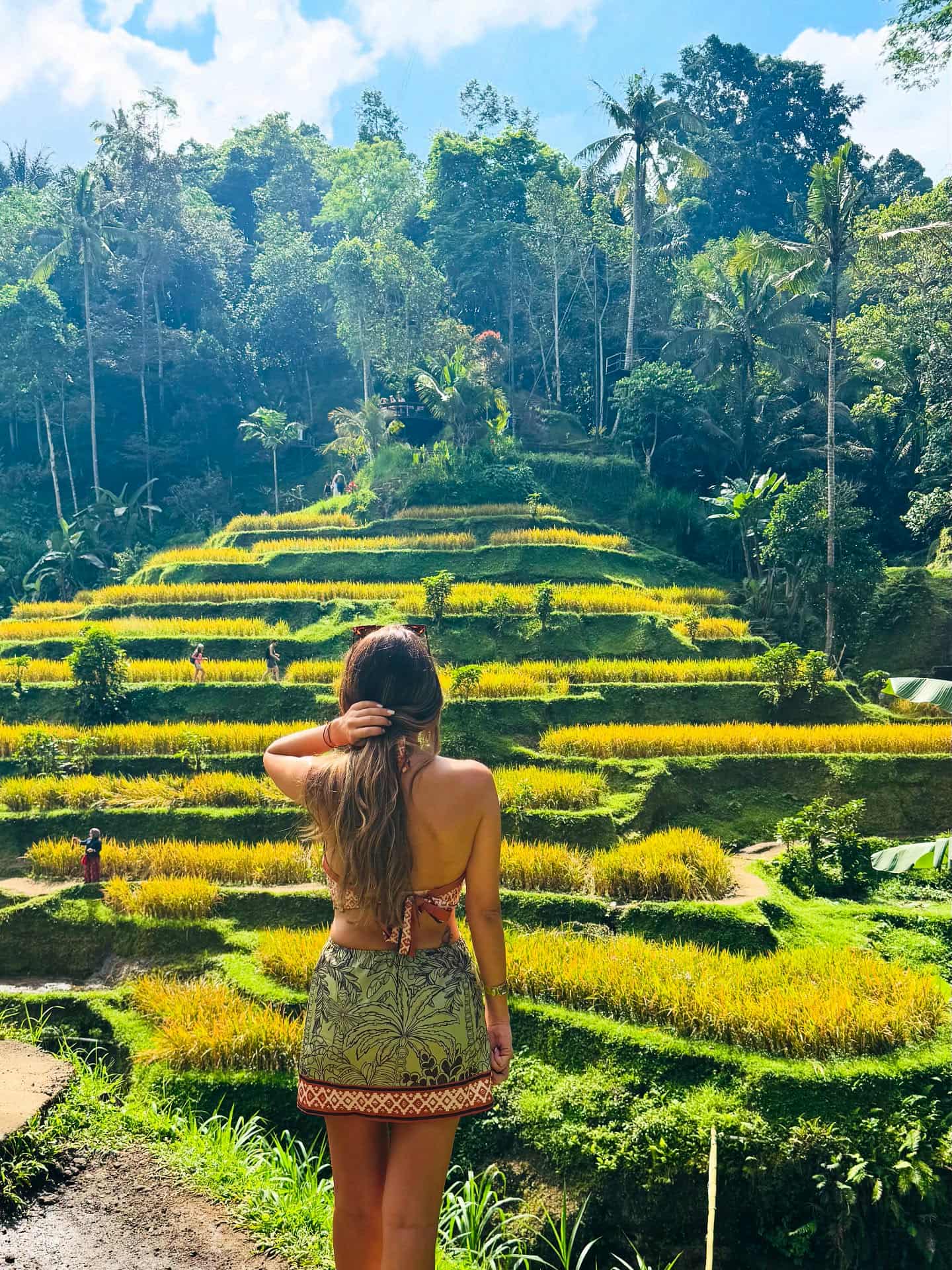 Tegalalang Rice Terrace